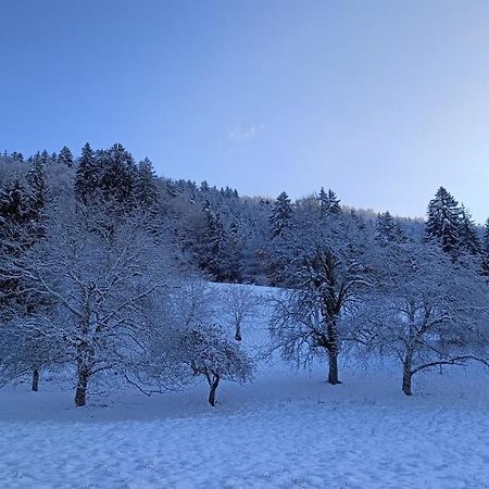 Gite Coeur De Haute-Savoie Viuz-en-Sallaz Exteriér fotografie