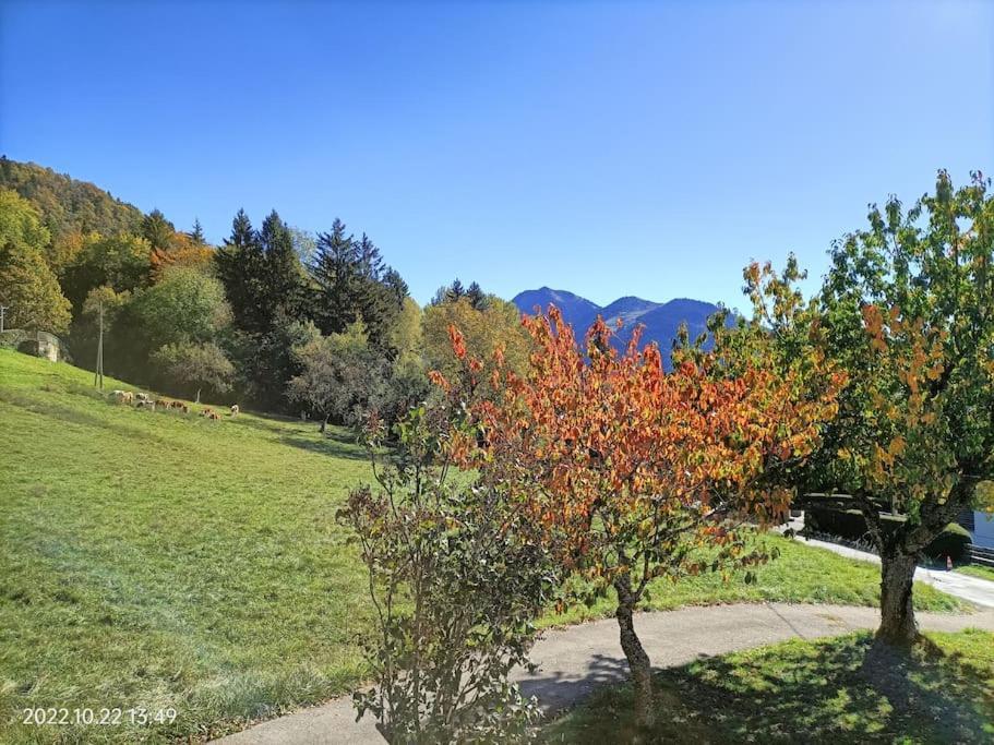 Gite Coeur De Haute-Savoie Viuz-en-Sallaz Exteriér fotografie