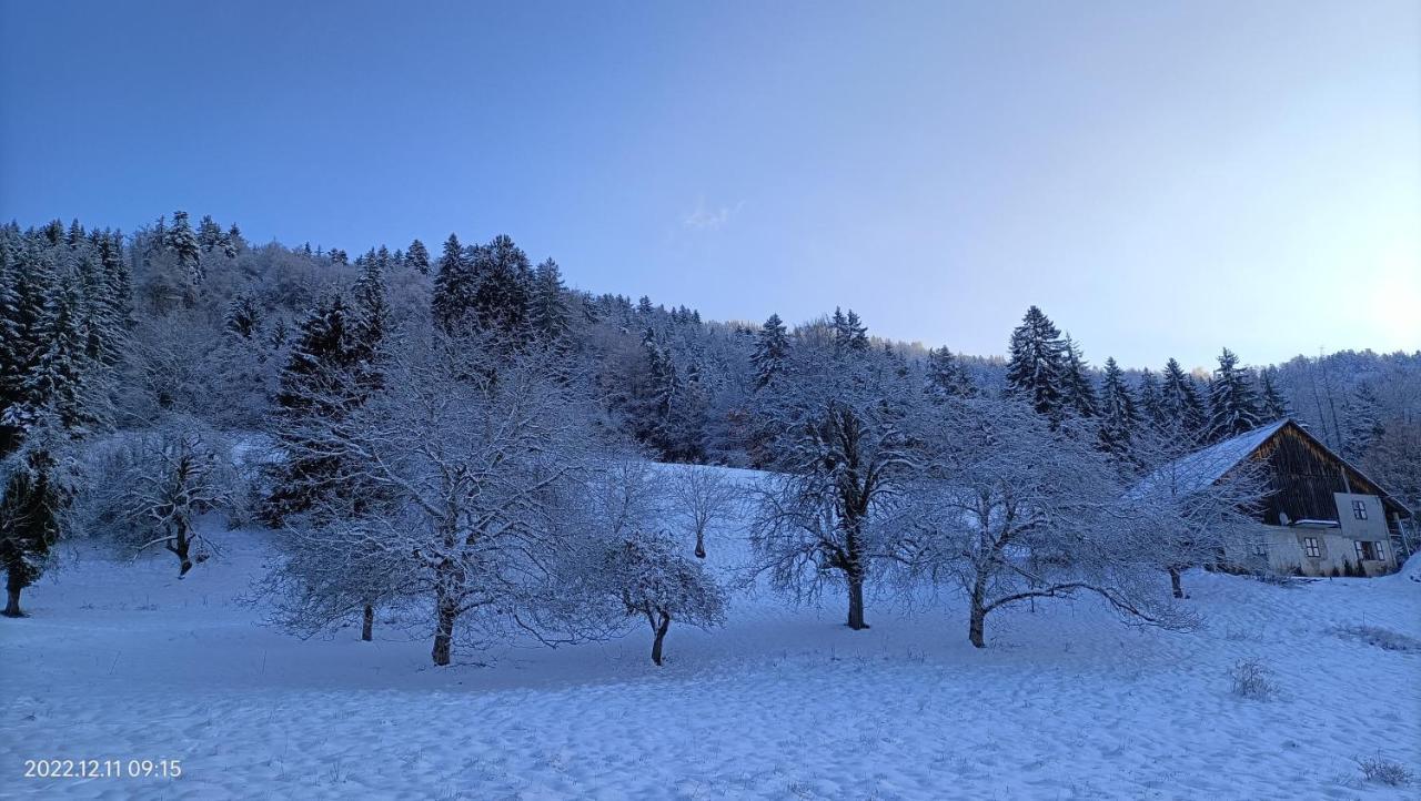 Gite Coeur De Haute-Savoie Viuz-en-Sallaz Exteriér fotografie