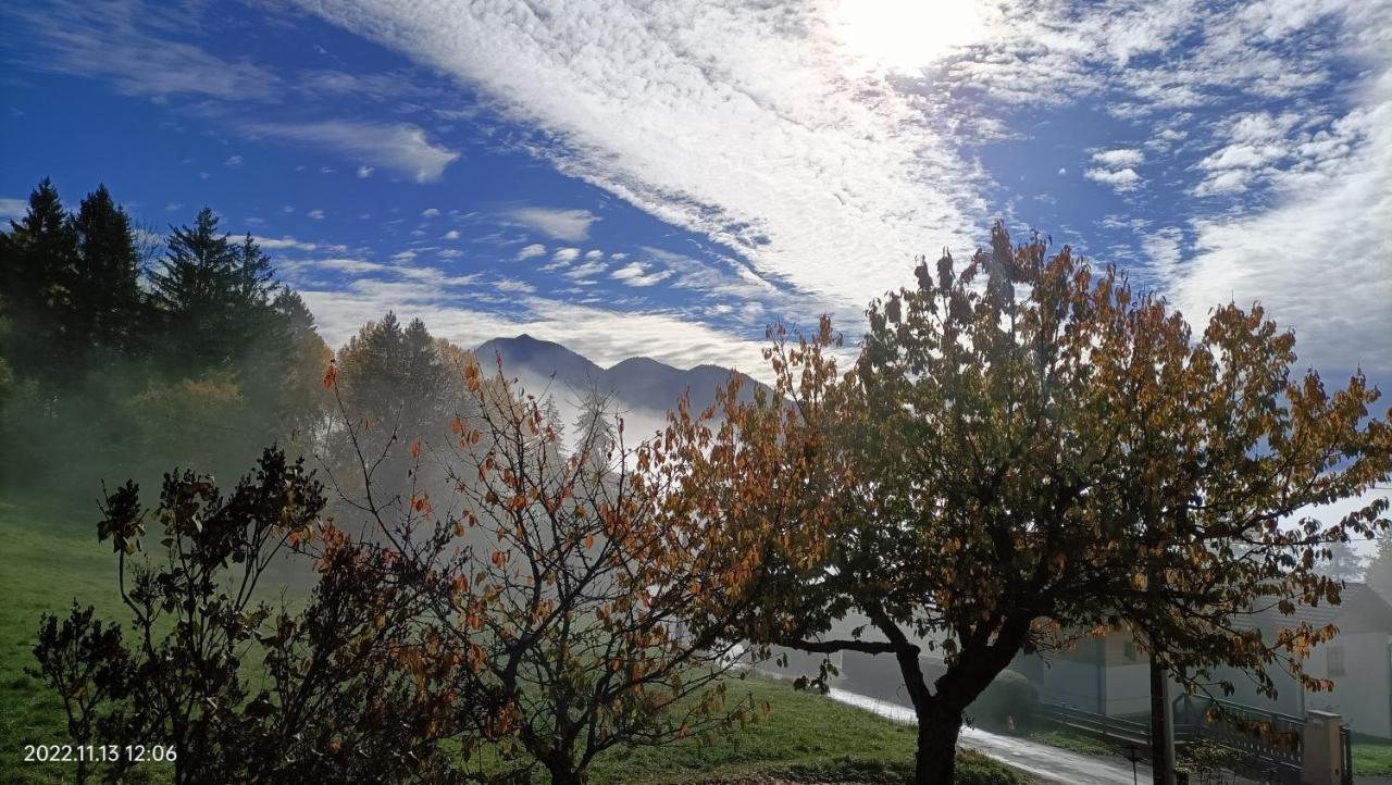 Gite Coeur De Haute-Savoie Viuz-en-Sallaz Exteriér fotografie
