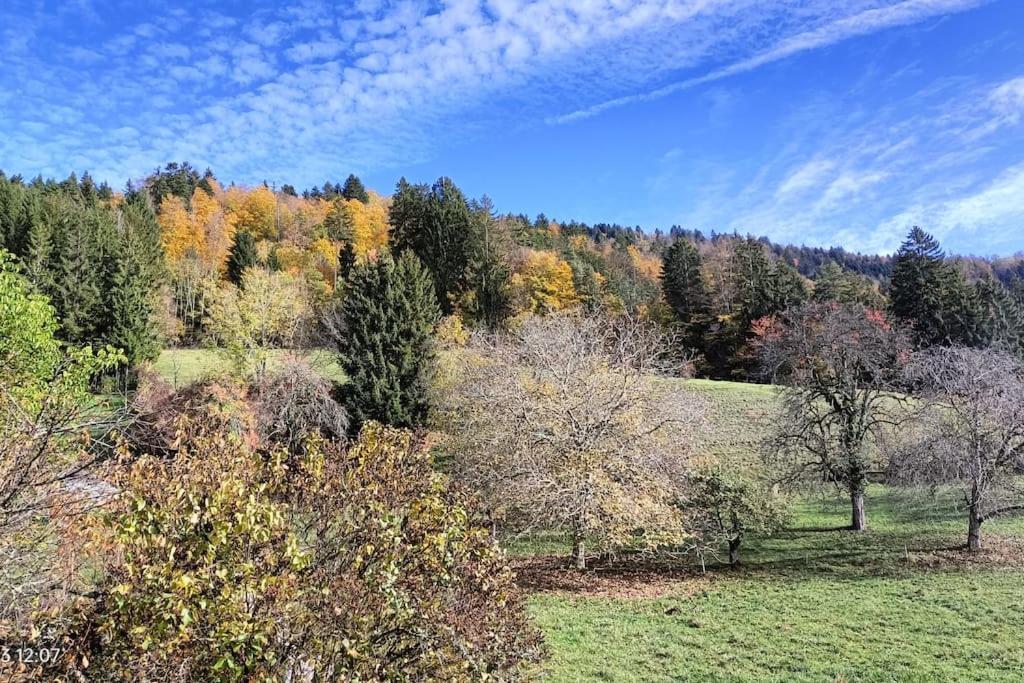 Gite Coeur De Haute-Savoie Viuz-en-Sallaz Exteriér fotografie